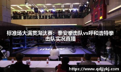 标准场大满贯淘汰赛：泰安拳击队vs呼和浩特拳击队实况直播